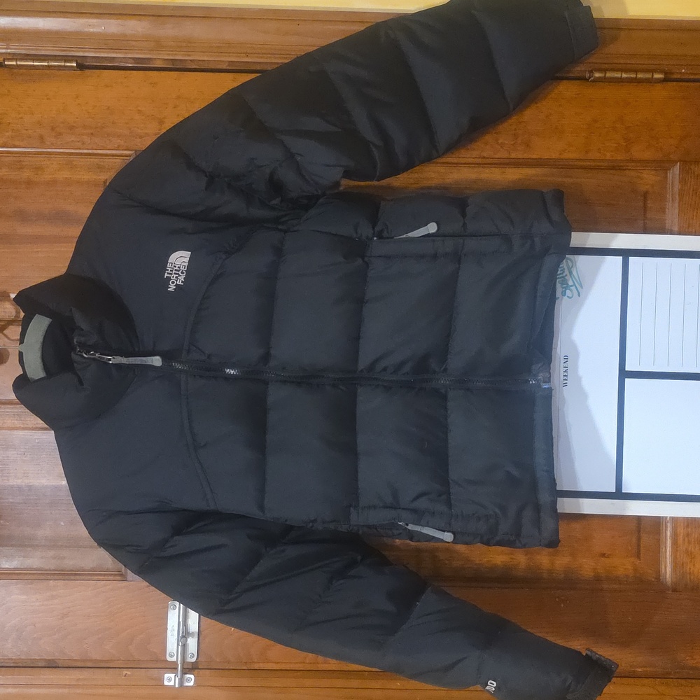 Retro NorthFace Down Jacket (2005) - image 1